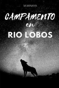 bokomslag Campamento en Rio Lobos