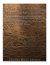 bokomslag The Greatest Cities of Ancient Mesopotamia: The History of Babylon, Nineveh, Ur, Uruk, Persepolis, Hattusa, and Assur