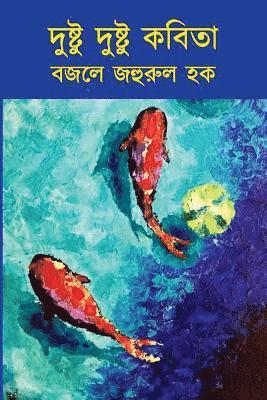 bokomslag Dushtu Dushtu Kobita: The Naughty Love Poems