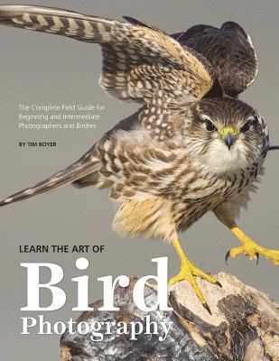 bokomslag Learn the Art of Bird Photography: The Complete Field Guide for Beginning and Intermediate Photographers and Birders