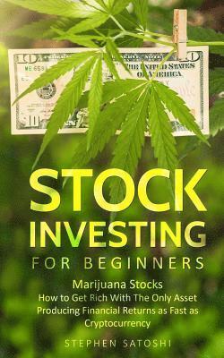 Stock Investing for Beginners 1