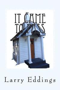 bokomslag It Came To Pass: Life's Short Stories