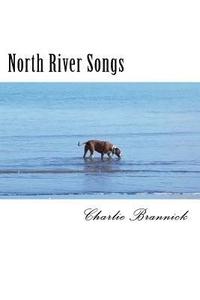 bokomslag North River Songs: My Journey Through Life in Poems, Stories and Songs
