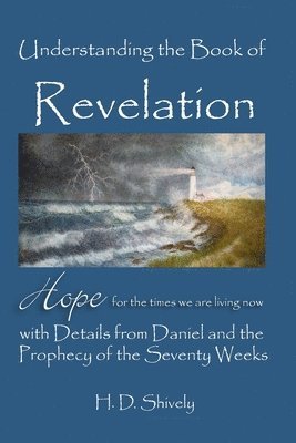 bokomslag Understanding the Book of Revelation: Hope for the Times we are Living Now