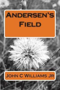 bokomslag Andersen's Field