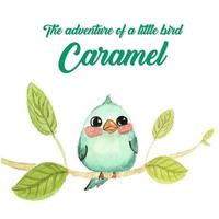 bokomslag The adventure of a little bird Caramel