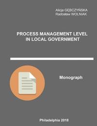 bokomslag Process Management Level in Local Government: Monograph