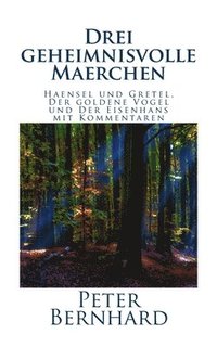 bokomslag Drei geheimnisvolle Maerchen