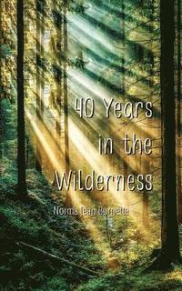 bokomslag 40 Years in the Wilderness