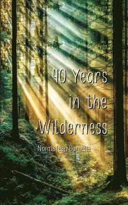 bokomslag 40 Years in the Wilderness
