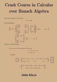 bokomslag Crash Course in Calculus over Banach Algebra