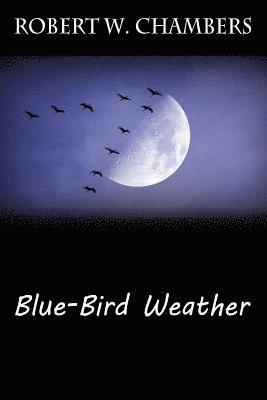 bokomslag Blue-Bird Weather