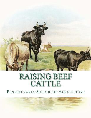 bokomslag Raising Beef Cattle: Agricultural Bulletin 138