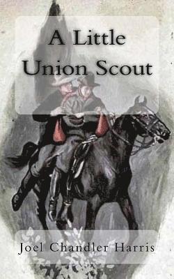 A Little Union Scout 1