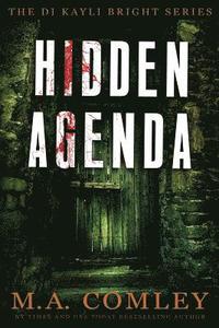 bokomslag Hidden Agenda