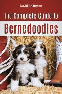 bokomslag Complete Guide to Bernedoodles