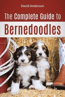 David Anderson - Complete Guide to Bernedoodles, Häftad. Tillgänglighet: Lägg i varukorg