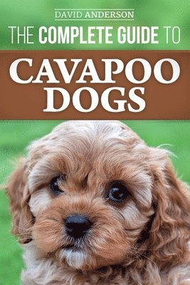 bokomslag The Complete Guide to Cavapoo Dogs