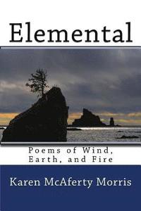 bokomslag Elemental: Poems of Wind, Earth, and Fire