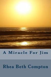 bokomslag A Miracle For Jim