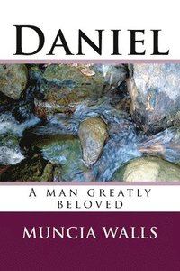 bokomslag Daniel: A man greatly beloved