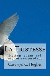 bokomslag La Tristesse: Musings, poems, and songs of a tortured soul