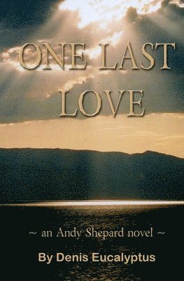 bokomslag One Last Love