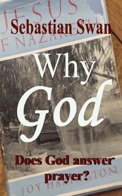 bokomslag Why GOD: Does God answer prayer?