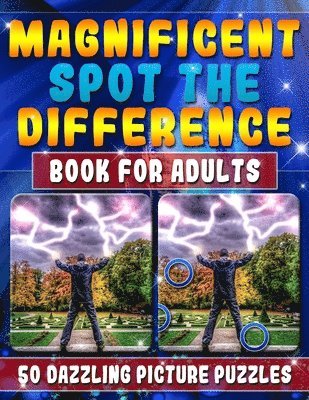 Magnificent Spot the Difference Book for Adults: 50 Dazzling Picture Puzzles: Extremely Fun Picture Puzzle Book for Adults: Are you ready for the ULTI 1