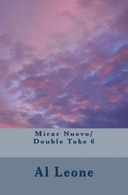 Mirar Nuevo/ Double Take 6 1