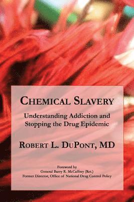 bokomslag Chemical Slavery: Understanding Addiction and Stopping the Drug Epidemic