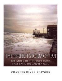 bokomslag The Perfect Storm of 1991: The Story of the Nor'easter that Sank the Andrea Gail