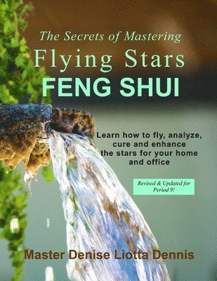 bokomslag The Secrets of Mastering Flying Stars Feng Shui: Learn how to fly, analyze, cure and enhance the stars for your home and office