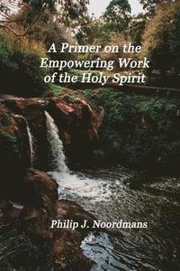 bokomslag A Primer on the Empowering Work of the Holy Spirit: You May Be Charismatic