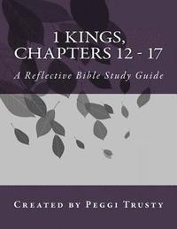 bokomslag 1 Kings, Chapters 12 - 17: A Reflective Bible study guide