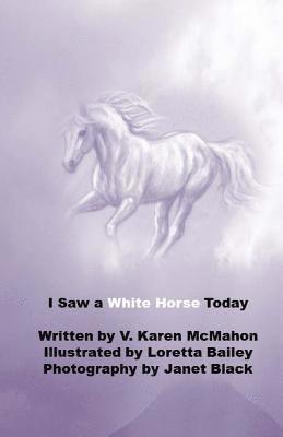 V. Karen McMahon - I Saw a White Horse Today, Häftad