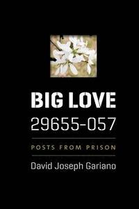 bokomslag Big Love, 29655-057: Posts from Prison