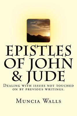 bokomslag Epistles of John & Jude: Dealing with issues not touched on by previous writings.