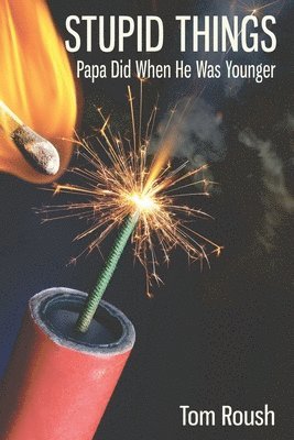 Stupid Things Papa Did When He Was Younger: And Other Tales of Hard-Won Wisdom