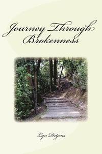 bokomslag Journey Through Brokenness