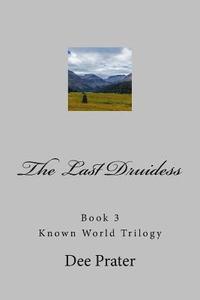 bokomslag The Last Druidess