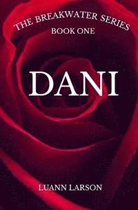 bokomslag The Breakwater Series Book One Dani