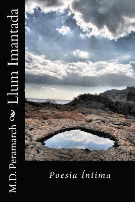 Llum Imantada: Poesia Intima 1