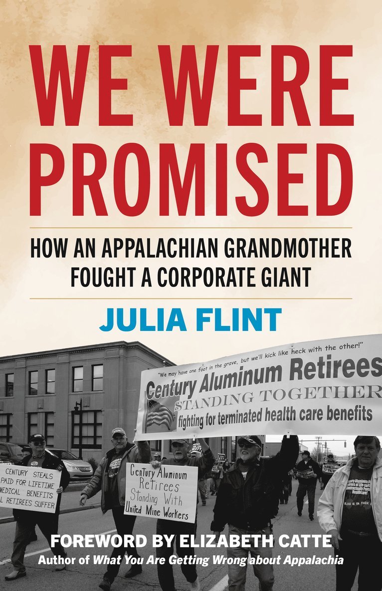 Julia Flint - We Were Promised, Inbunden