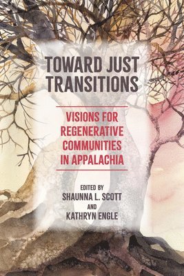bokomslag Toward Just Transitions