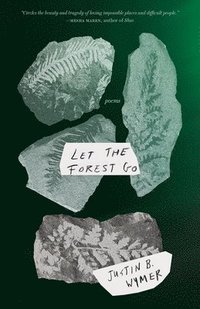 bokomslag Let the Forest Go