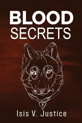 bokomslag Blood Secrets