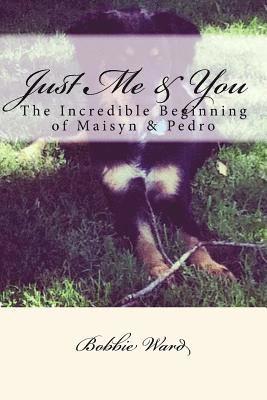 bokomslag Just Me & You: The Incredible Beginning of Maisyn & Pedro