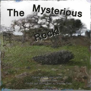 bokomslag Mysterious Rock!