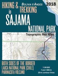 bokomslag Hiking & Trekking in Sajama National Park Bolivia Andes Topographic Map Atlas Both Sides of the Border Lauca National Park (Chile) Parinacota Volcano 1